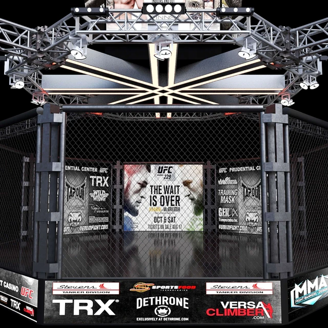 UFC Fighting Stage — Download