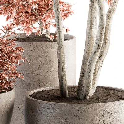 Outdoor Plant Set 359 - Pink Plant Set in Concrete Pot — Ver 5