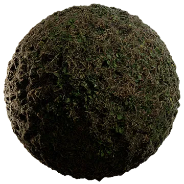 wild grass and weeds 002 — Скачать