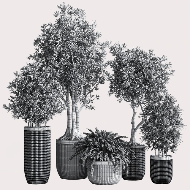 Indoor Set Plsnt14 — Descargar
