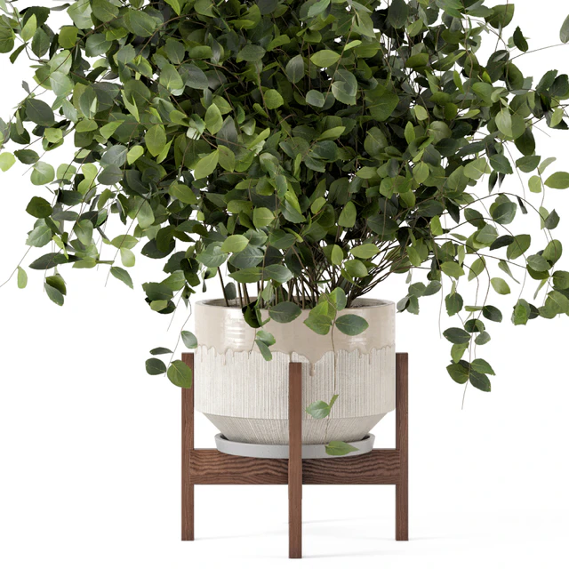 Indoor Plants in rusty Concrete Pot - Set 280 — Скачать