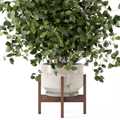 Indoor Plants in rusty Concrete Pot - Set 280 — Вид 2
