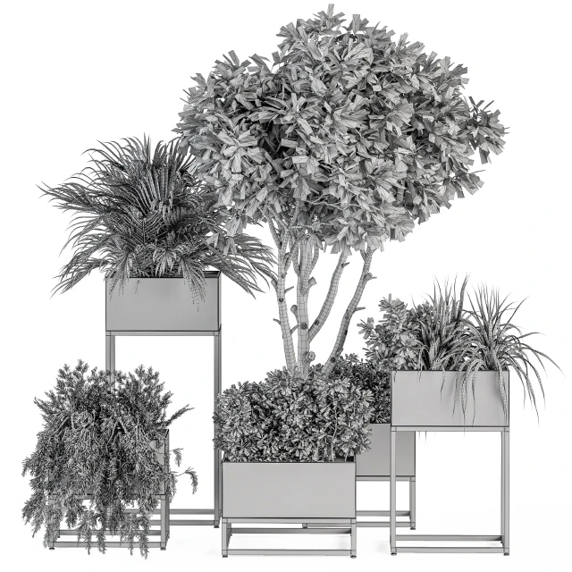 indoor Plant Set 327 - Plant Set in Black Box — Descargar