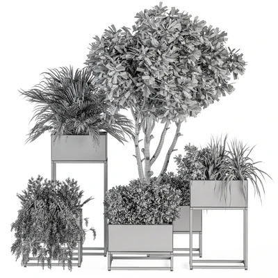 indoor Plant Set 327 - Plant Set in Black Box — Ver 2