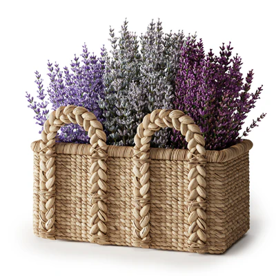 Baskets Set 07 — Ver 3