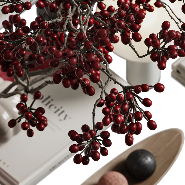 Branches with berries decor set — Скачать