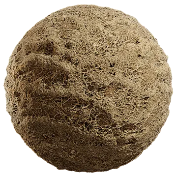 grass dried 018 — Descargar