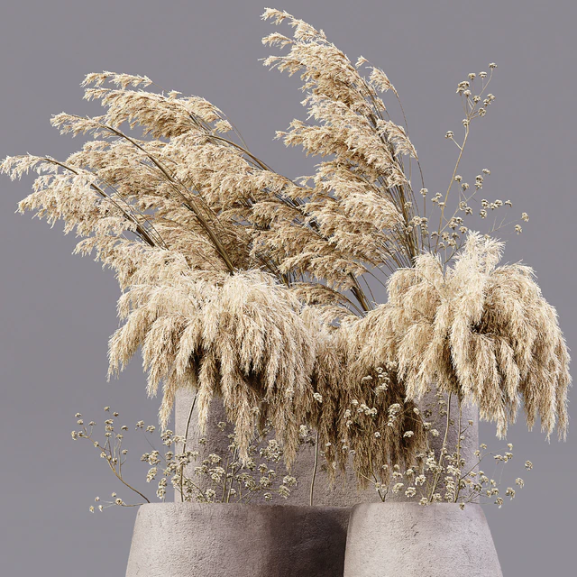 Dry Plants — Скачать