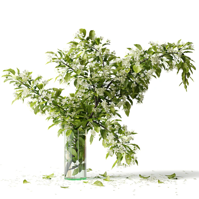 Bouquet blooming branch, spring flowers in a glass vase — Descargar