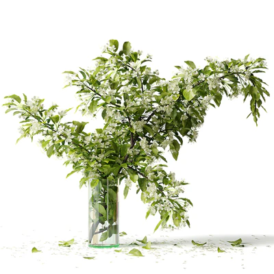 Bouquet blooming branch, spring flowers in a glass vase — Ver 1