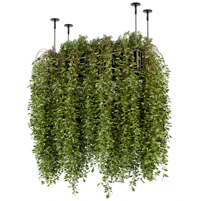 Indoor Hanging Plants in Metal Box - Set 192 — Descargar