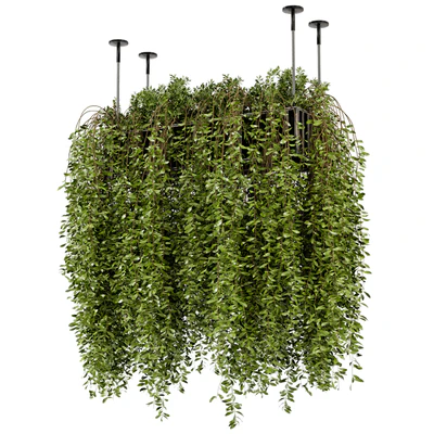 Indoor Hanging Plants in Metal Box - Set 192 — Ver 4