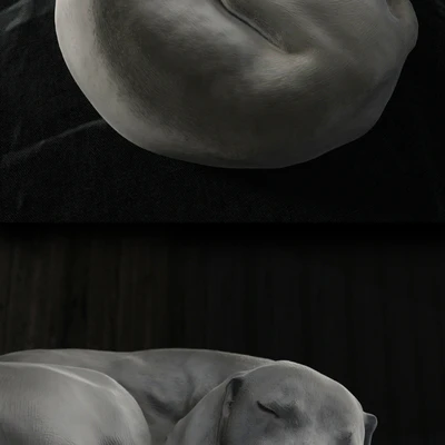 Gert — Ver 3