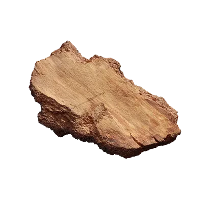 birch bark piece 001 — Descargar