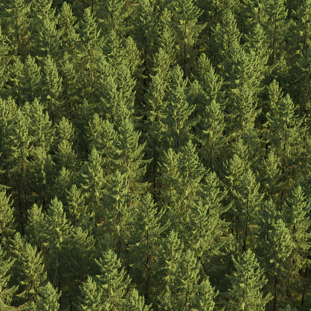 Spruce — Скачать