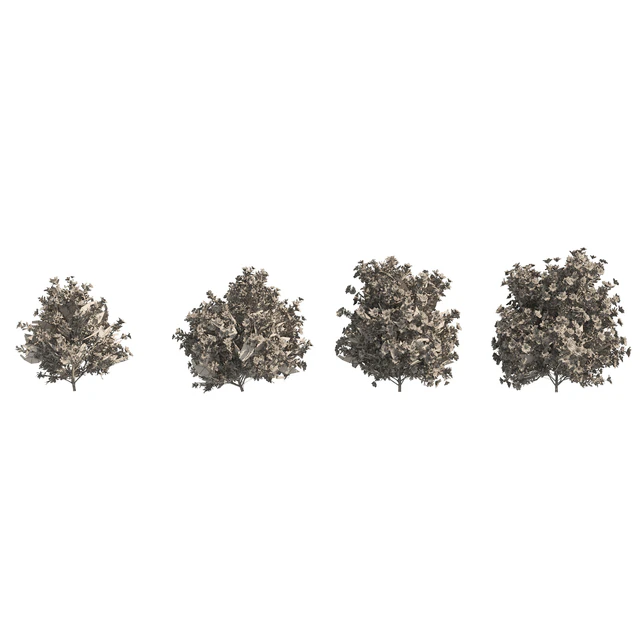 4 spring Azalea Flower Bush — Descargar
