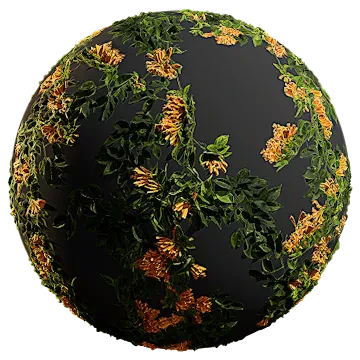 honeysuckle 004 — Скачать