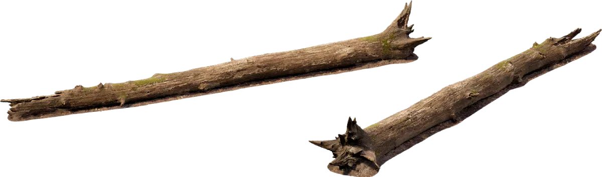 large fallen tree 007 — Descargar