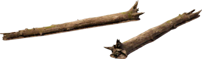 large fallen tree 007 — Descargar