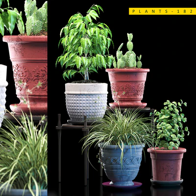 PLANTS 182 — Ver 1