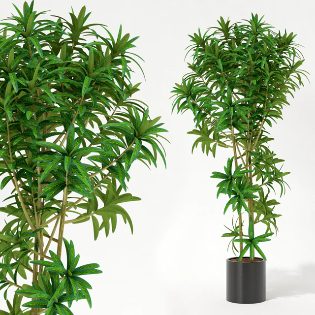 Room plant — Descargar