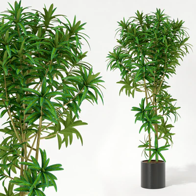 Room plant — Descargar