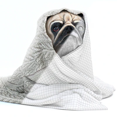 Pug 1 - Winter is coming — Ver 3