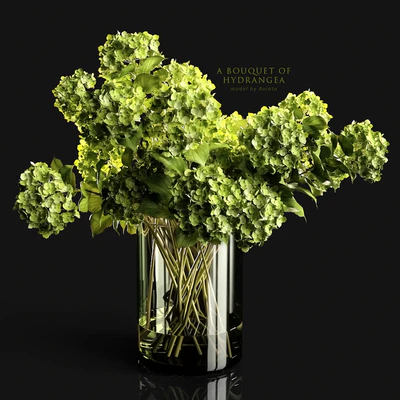 A bouquet of hydrangea — Ver 1