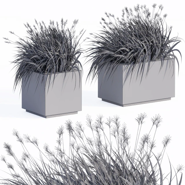 Concrete Plants Box — Скачать