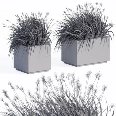 Concrete Plants Box — Вид 2