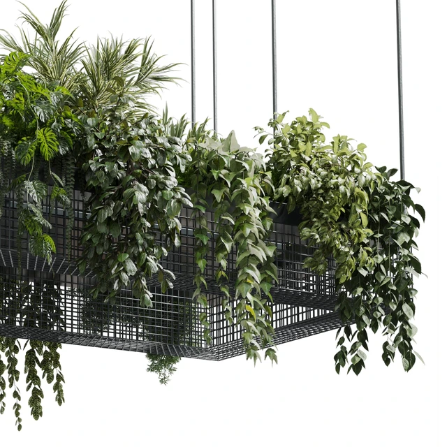 hanging plants - indoor plant set 447 Rectangle pendant pot vray — Скачать