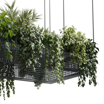 hanging plants - indoor plant set 447 Rectangle pendant pot vray — Вид 5