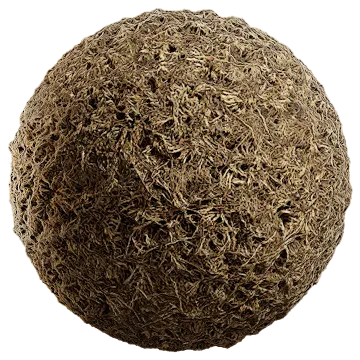 grass dried 025 — Скачать