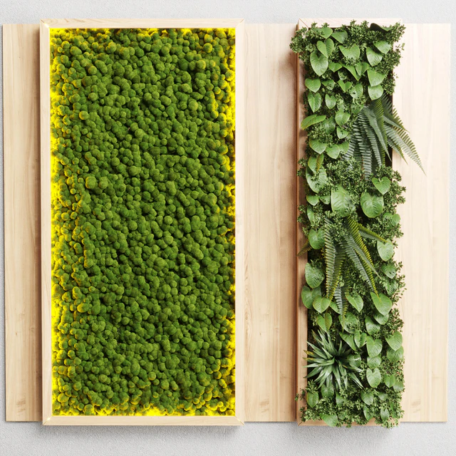 wall garden and vertical moss in wooden frame 22 — Скачать