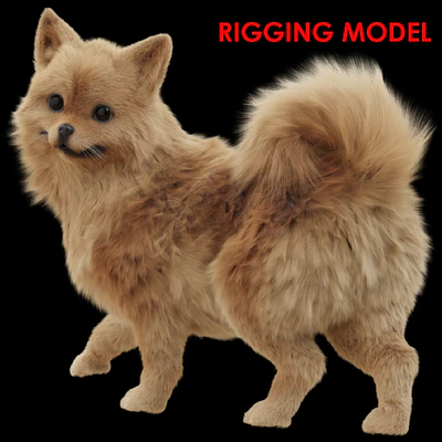 Spitz — Ver 1