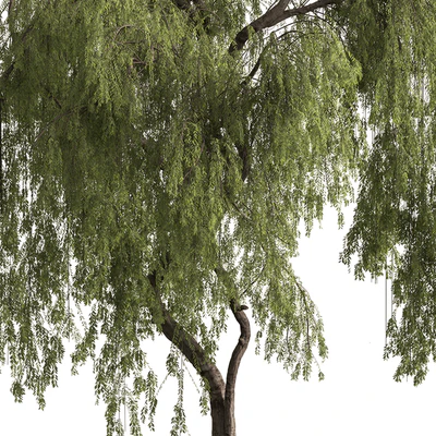 Babylon Willow Tree Set 377 — View 3