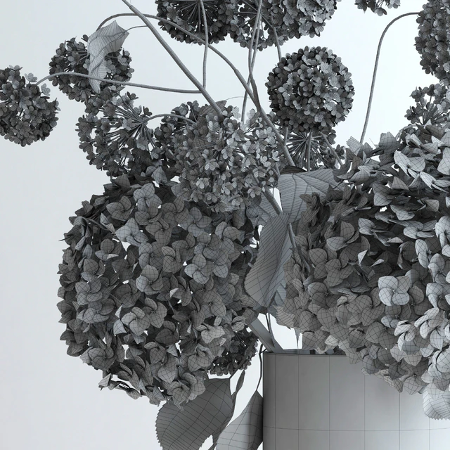 Hydrangeas and Viburnum — Download