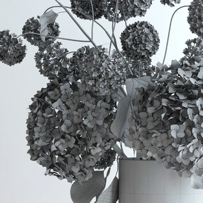 Hydrangeas and Viburnum — View 2