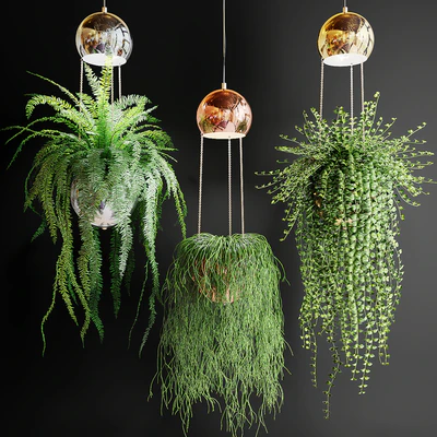 Ampel plants in pots with lamps — Descargar