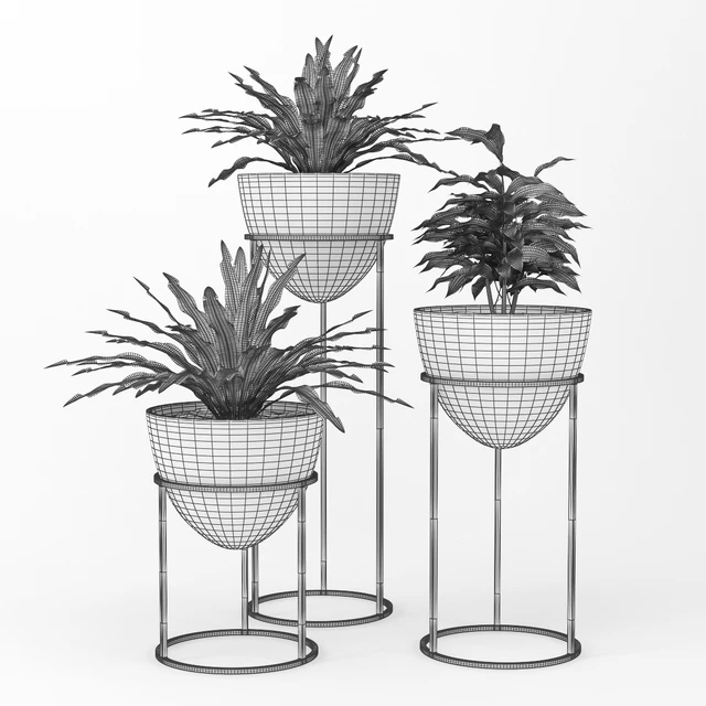 Plant — Скачать