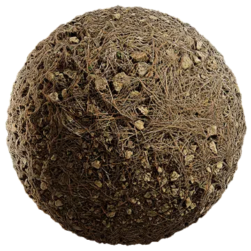 grass dried 048 — Descargar