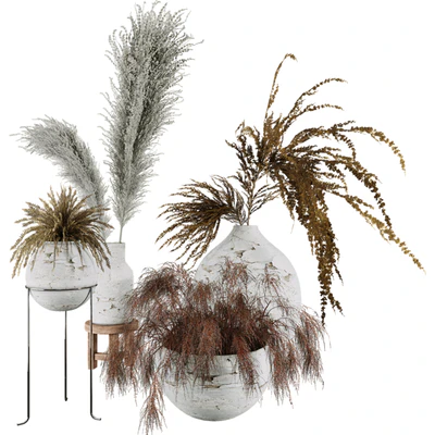 Plant Collection Set 01 — Вид 3