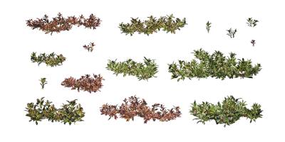 alpine bearberry 001 — download
