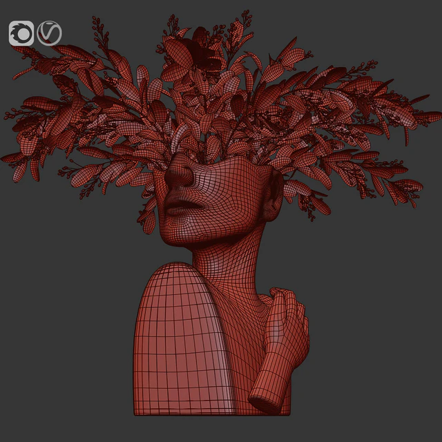 Human face art vase — Descargar