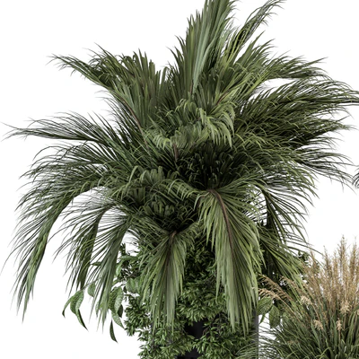 indoor Plant Set 301 - Plant Set in Round Stand Black pot — Вид 3