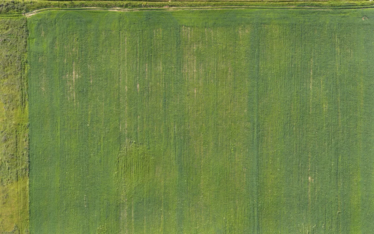field summer 022 — Descargar