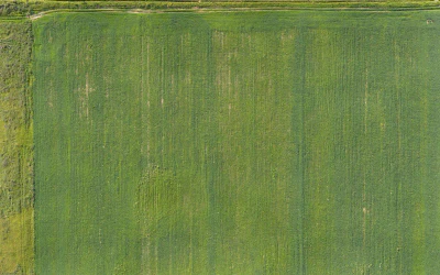field summer 022 — Descargar
