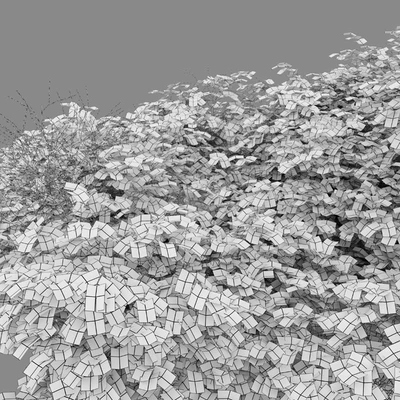 bush 022 — Ver 2