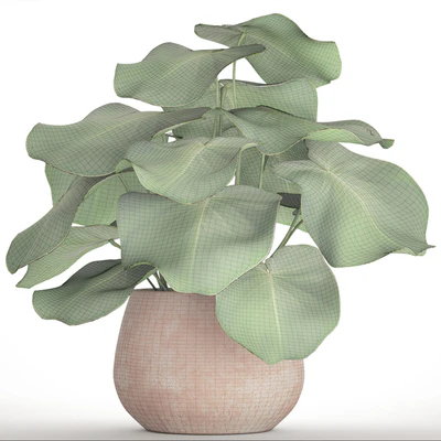 Tropical potted plant, flower, flowerpot, small plant, clinker, clay — Ver 2