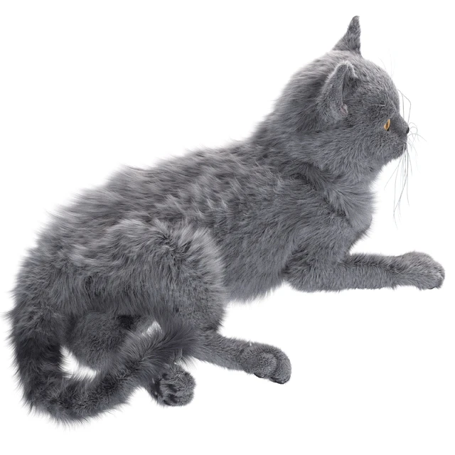 Gray Cat — Descargar